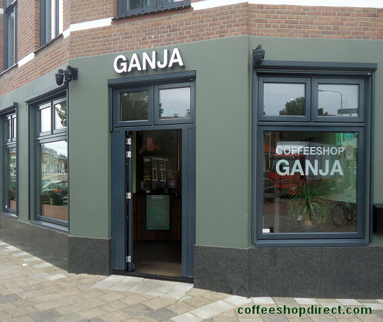 Ganja coffee shop Scheveningen