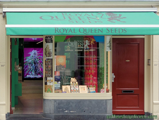 Royal Queen Seeds 3 grow shop Amsterdam