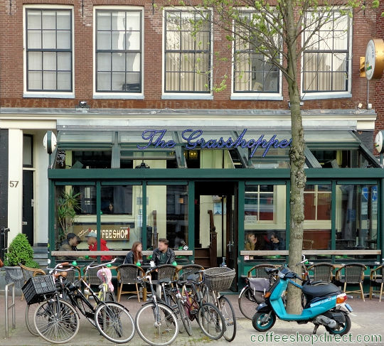 Grasshopper coffee shop Amsterdam