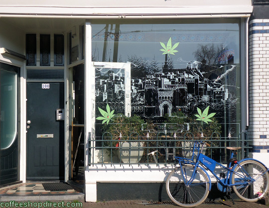 THC coffee shop
