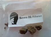 Banana OG Filtered