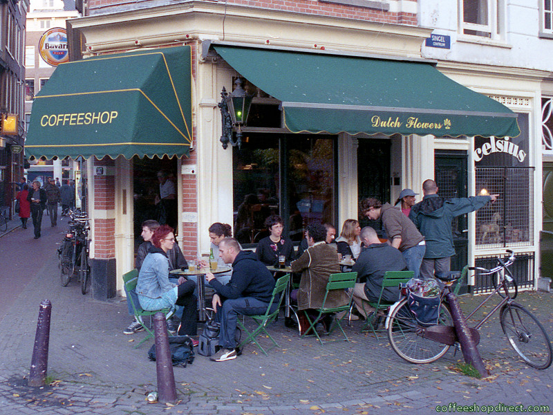 Greenhouse Strain Hunters 