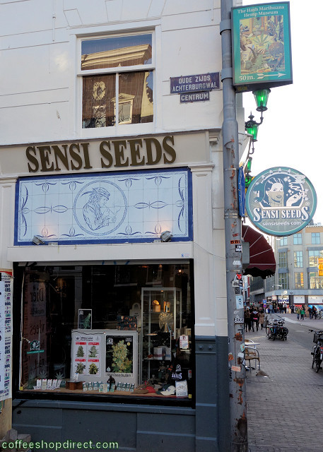 Sensi Seeds Corner Shop April 2013