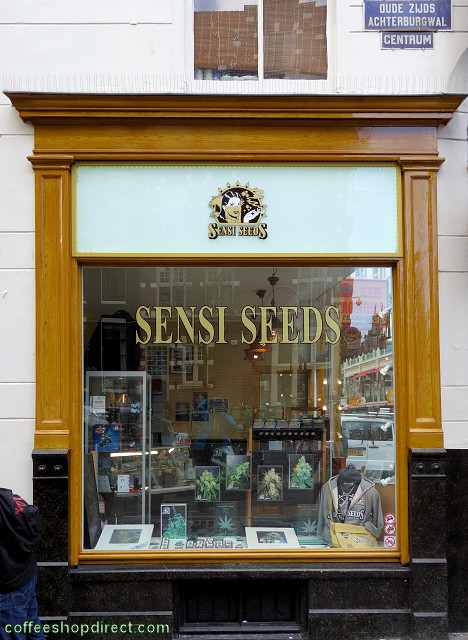 Sensi Seeds Corner Shop April 2017