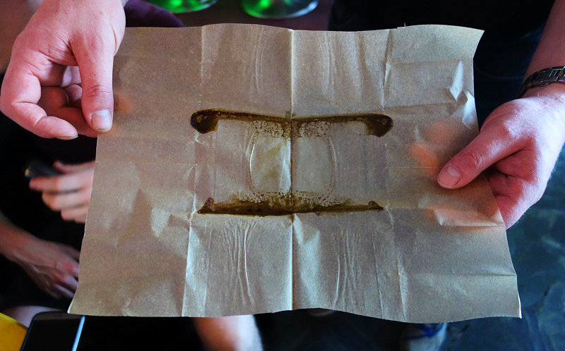 Willie Wortel's Indica 