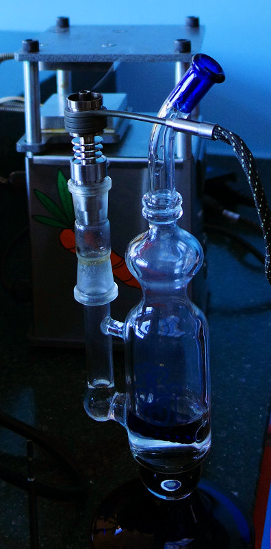 Willie Wortel's Indica 