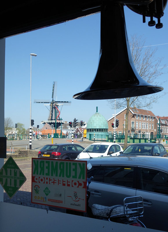 Willie Wortel's Indica 