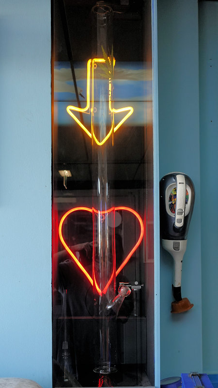 Willie Wortel's Indica 