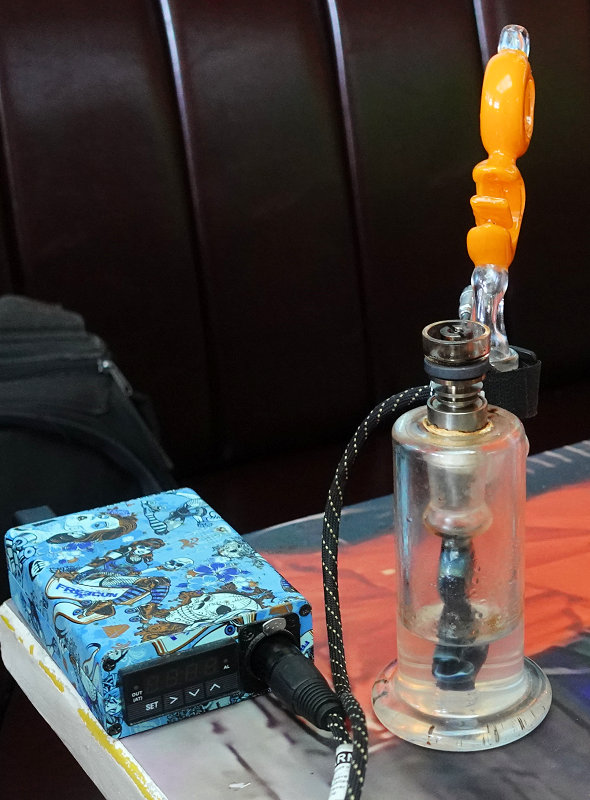 Willie Wortel's Indica 