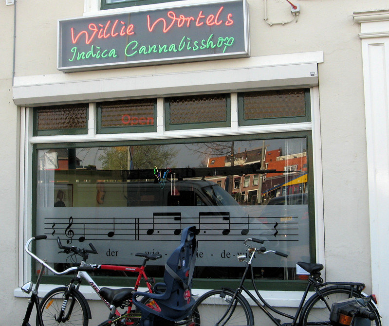 Willie Wortel's Indica 